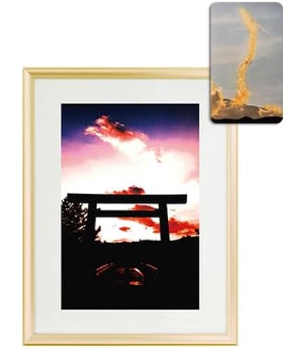 Amazon.co.jp: 秋元隆良 奇跡の写真 ｢金龍｣【金龍カード特典付